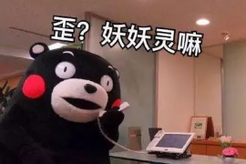 宜春融资清欠服务